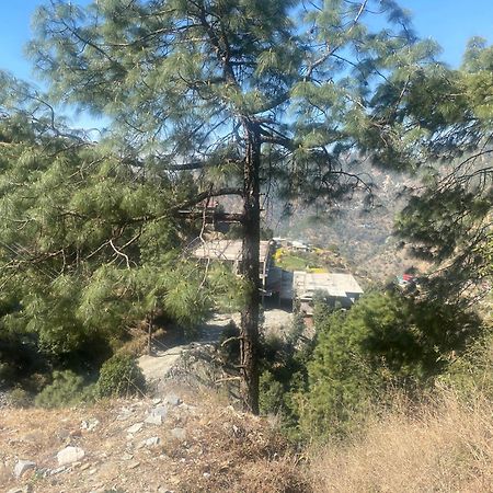 Aditya Homestay Dalhousie Εξωτερικό φωτογραφία