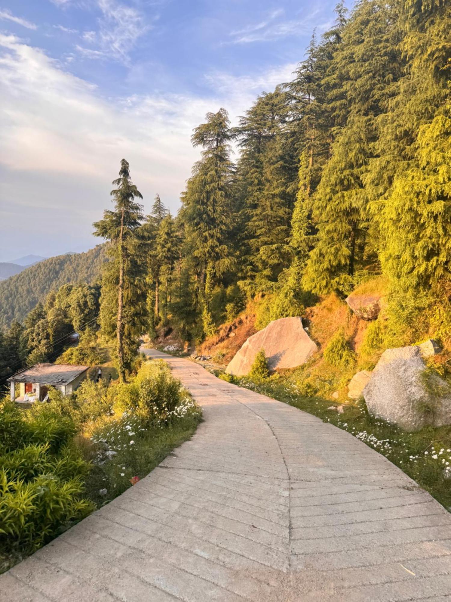 Aditya Homestay Dalhousie Εξωτερικό φωτογραφία