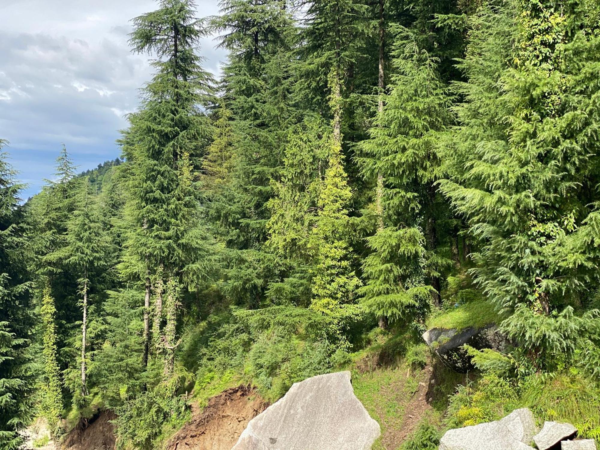 Aditya Homestay Dalhousie Εξωτερικό φωτογραφία