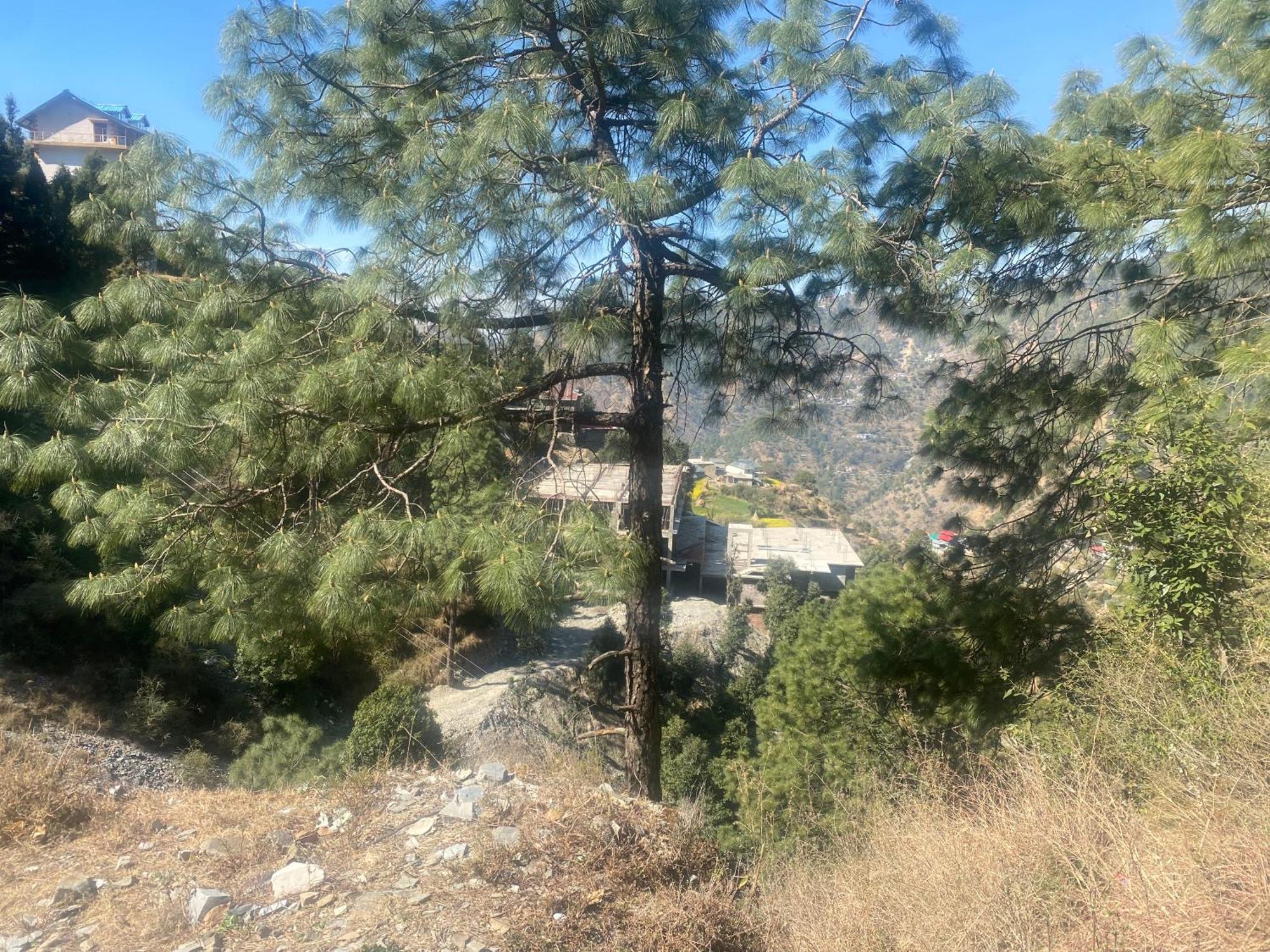 Aditya Homestay Dalhousie Εξωτερικό φωτογραφία