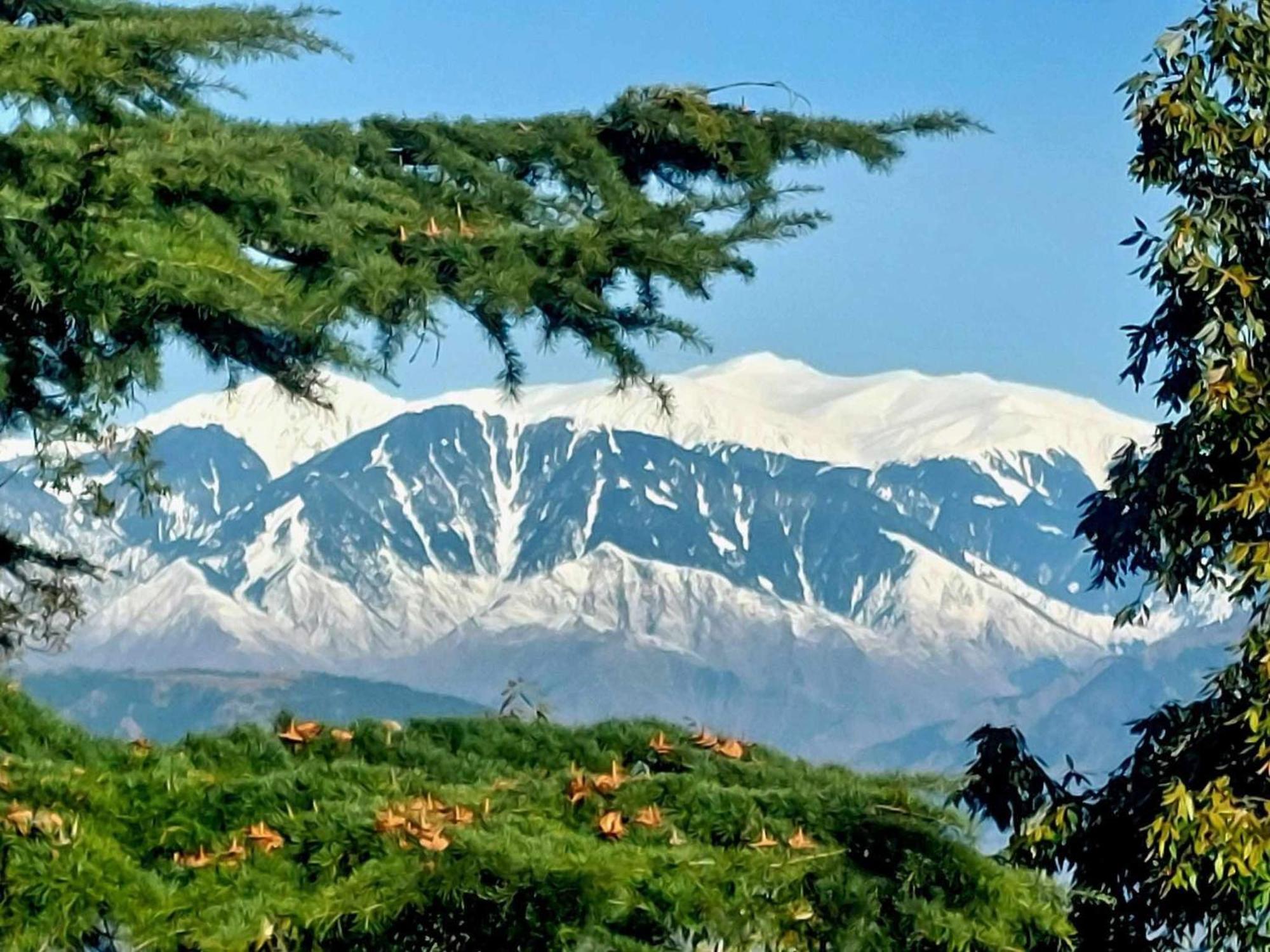 Aditya Homestay Dalhousie Εξωτερικό φωτογραφία